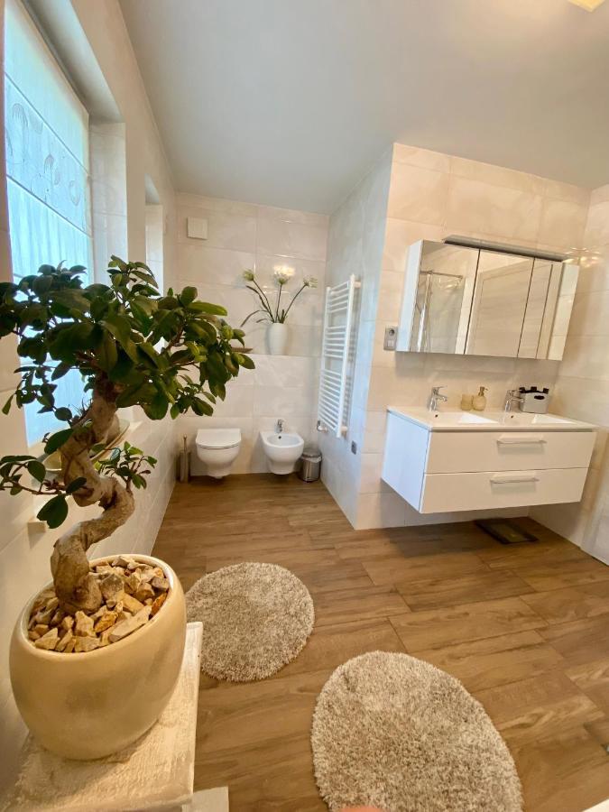Hisa Helena Villa Kranj Ngoại thất bức ảnh